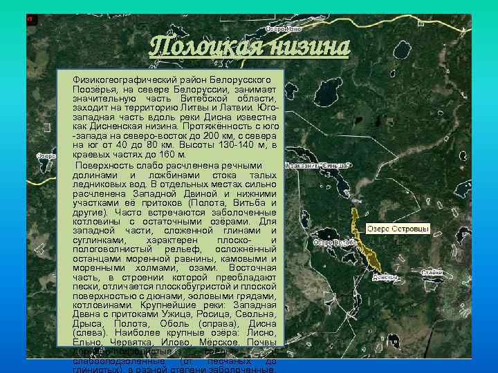 Полоцкая низина Физикогеографический район Белорусского Поозёрья, на севере Белоруссии, занимает значительную часть Витебской области,