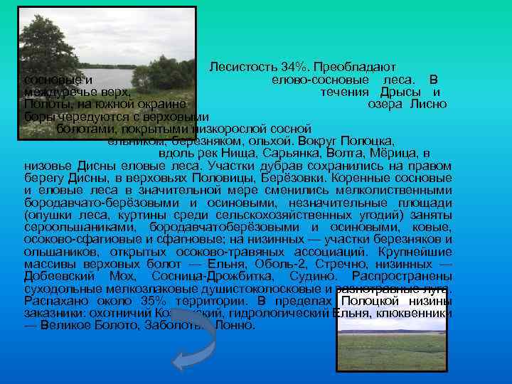 Лесистость 34%. Преобладают елово-сосновые леса. В течения Дрысы и озера Лисно сосновые и междуречье