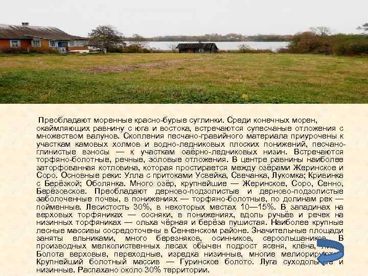 Преобладают моренные красно-бурые суглинки. Среди конечных морен, окаймляющих равнину с юга и востока, встречаются