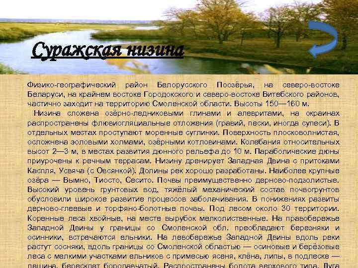 Суражская низина Физико-географический район Белорусского Поозёрья, на северо-востоке Беларуси, на крайнем востоке Городокского и