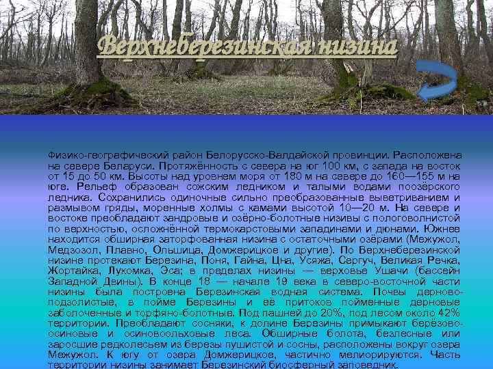 Верхнеберезинская низина Физико-географический район Белорусско-Валдайской провинции. Расположена на севере Беларуси. Протяжённость с севера на