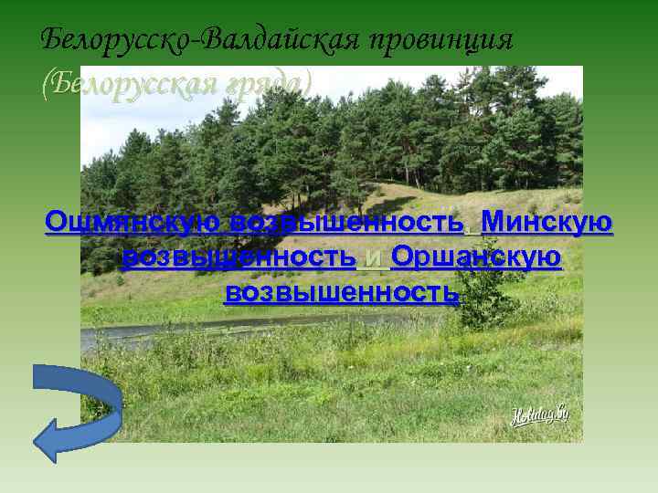 Белорусско-Валдайская провинция (Белорусская гряда) Ошмянскую возвышенность, Минскую возвышенность и Оршанскую возвышенность 