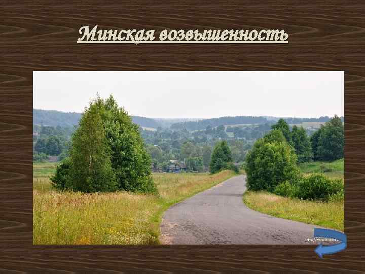 Минская возвышенность 