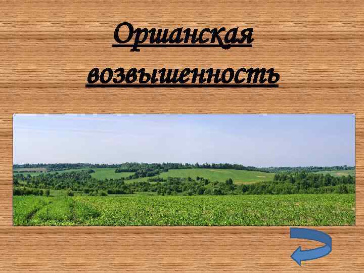 Оршанская возвышенность 