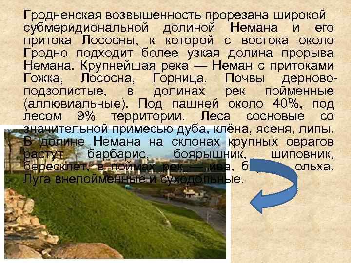 Гродненская возвышенность прорезана широкой субмеридиональной долиной Немана и его притока Лососны, к которой с