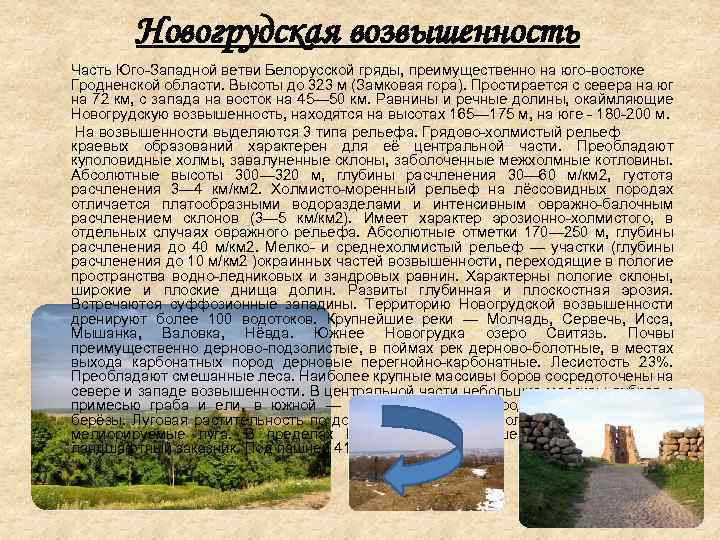 Новогрудская возвышенность Часть Юго-Западной ветви Белорусской гряды, преимущественно на юго-востоке Гродненской области. Высоты до