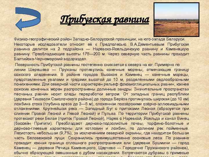 Прибугская равнина Физико-географический район Западно-Белорусской провинции, на юго-западе Беларуси. Некоторые исследователи относят её к