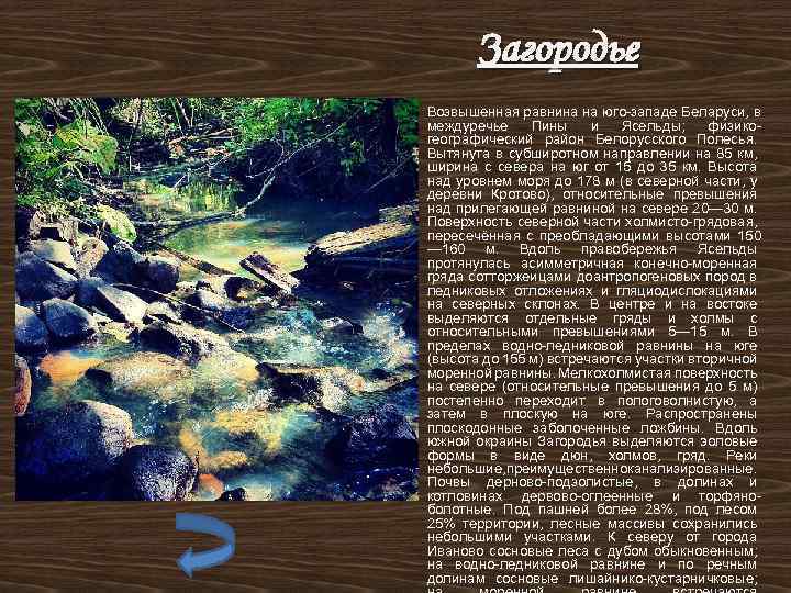 Загородье Возвышенная равнина на юго-западе Беларуси, в междуречье Пины и Ясельды; физикогеографический район Белорусского