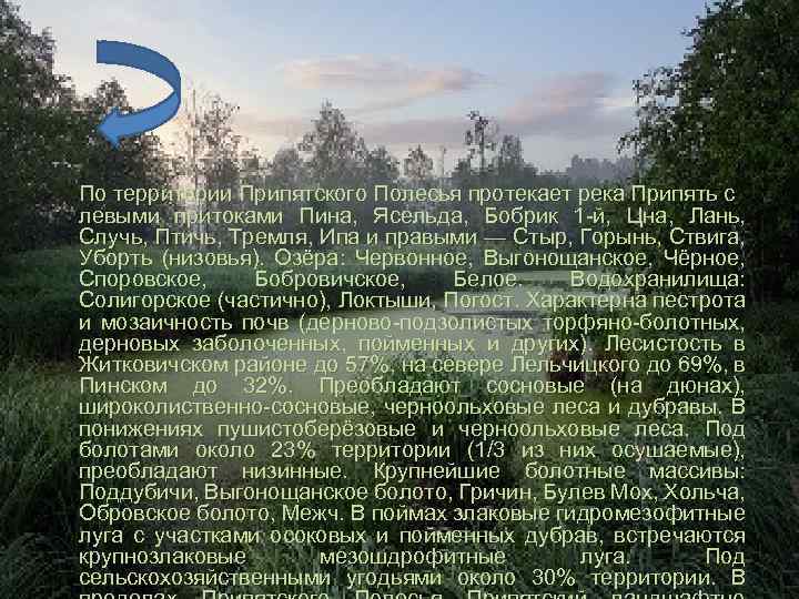 По территории Припятского Полесья протекает река Припять с левыми притоками Пина, Ясельда, Бобрик 1