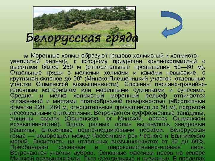 Белорусская гряда Моренные холмы образуют грядово-холмистый и холмистоувалистый рельеф, к которому приурочен крупнохолмистый с