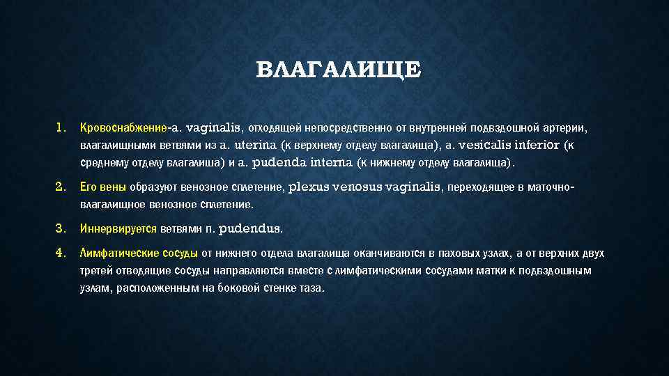 ВЛАГАЛИЩЕ 1. Кровоснабжение-a. vaginalis, отходящей непосредственно от внутренней подвздошной артерии, влагалищными ветвями из a.