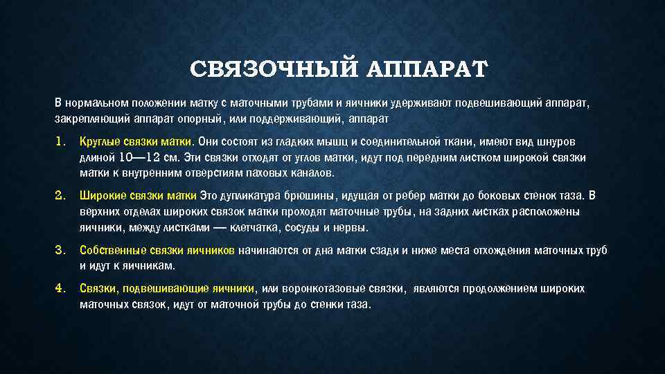 СВЯЗОЧНЫЙ АППАРАТ В нормальном положении матку с маточными трубами и яичники удерживают подвешивающий аппарат,