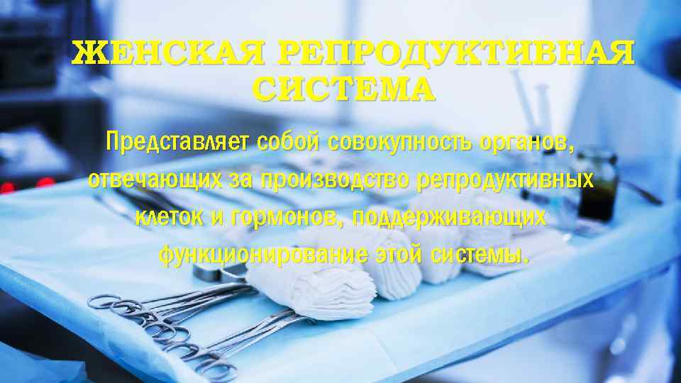 ЖЕНСКАЯ РЕПРОДУКТИВНАЯ СИСТЕМА Представляет собой совокупность органов, отвечающих за производство репродуктивных клеток и гормонов,