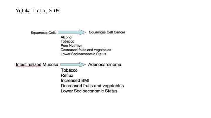 А Yutaka T. et al, 2009 