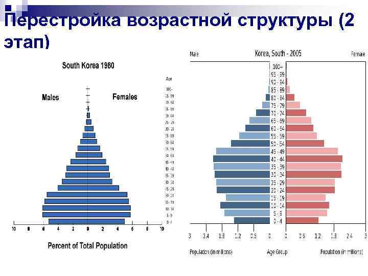 На диаграмме показан возрастной состав населения индонезии