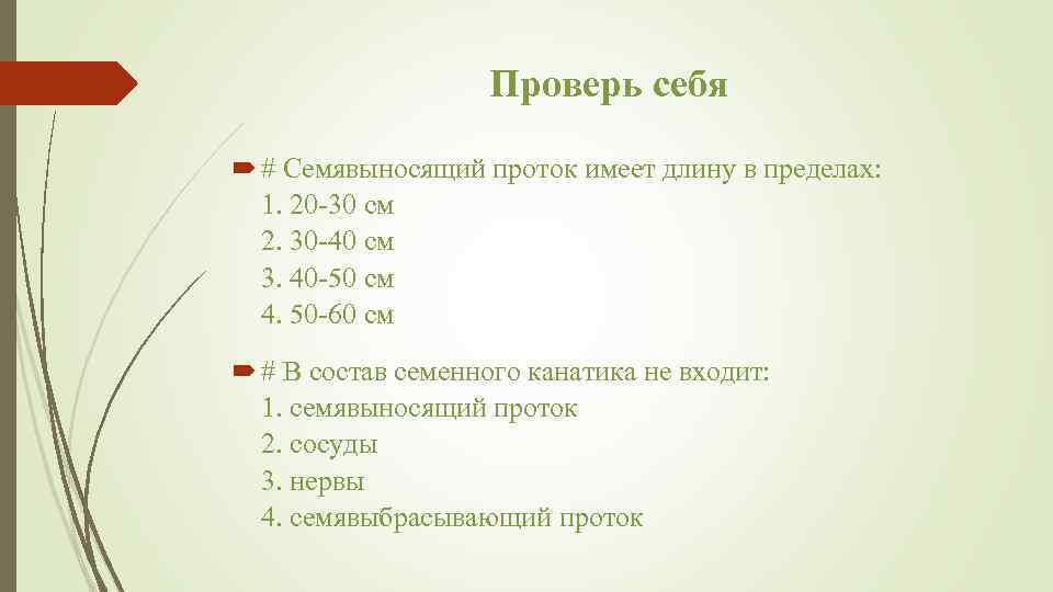 Проверь себя # Семявыносящий проток имеет длину в пределах: 1. 20 -30 см 2.