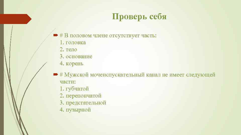 Проверь себя # В половом члене отсутствует часть: 1. головка 2. тело 3. основание