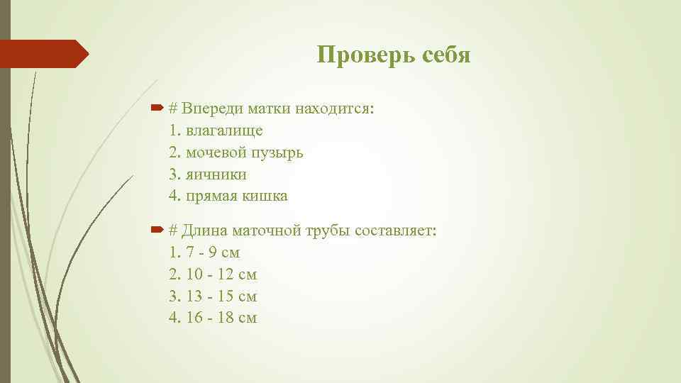 Проверь себя # Впереди матки находится: 1. влагалище 2. мочевой пузырь 3. яичники 4.