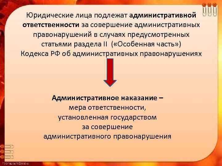 Юридические лица подлежат административной ответственности за совершение административных правонарушений в случаях предусмотренных статьями раздела