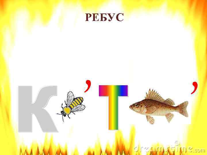 РЕБУС , , 