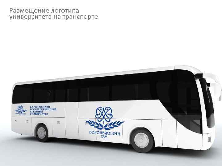 Размещение логотипа университета на транспорте 