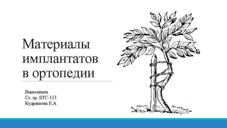 Материалы имплантатов в ортопедии Выполнила Ст. гр. БТС-113 Кудряшова Е. А 
