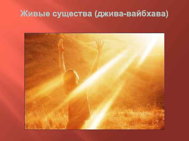 Живые существа (джива-вайбхава) 