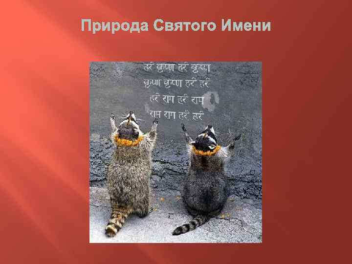 Природа Святого Имени 