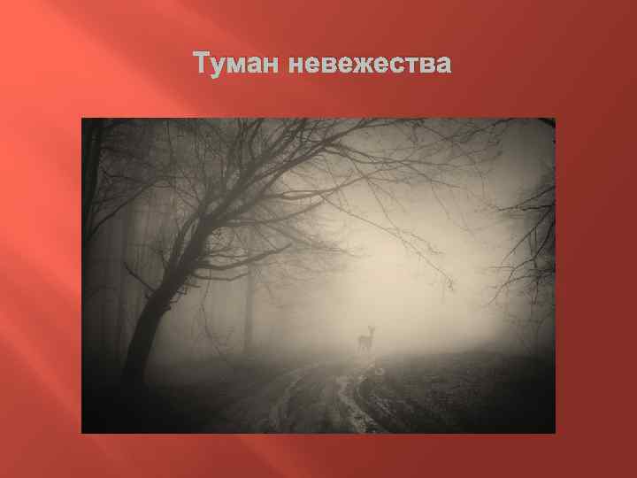  Туман невежества 