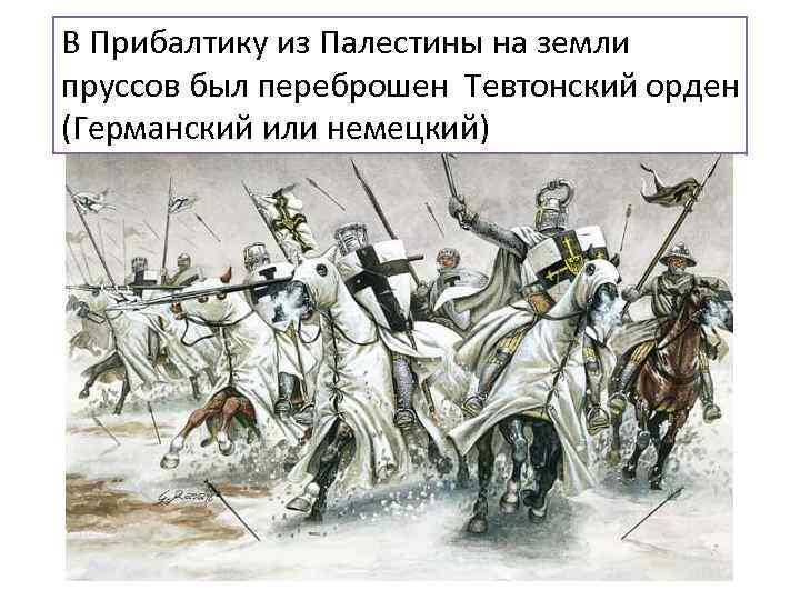 В Прибалтику из Палестины на земли пруссов был переброшен Тевтонский орден (Германский или немецкий)