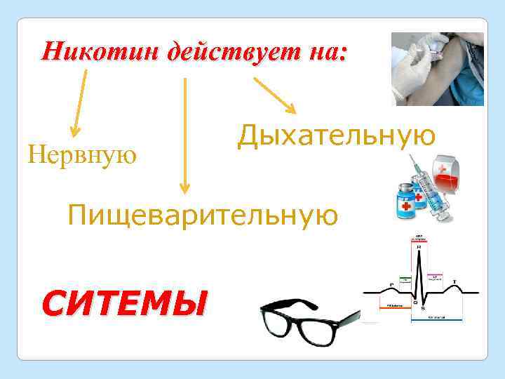 Никотин действует на: Нервную Дыхательную Пищеварительную СИТЕМЫ 