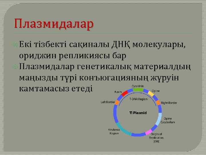 Плазмидалар Екі тізбекті сақиналы ДНҚ молекулары, ориджин репликиясы бар Плазмидалар генетикалық материалдың маңызды түрі