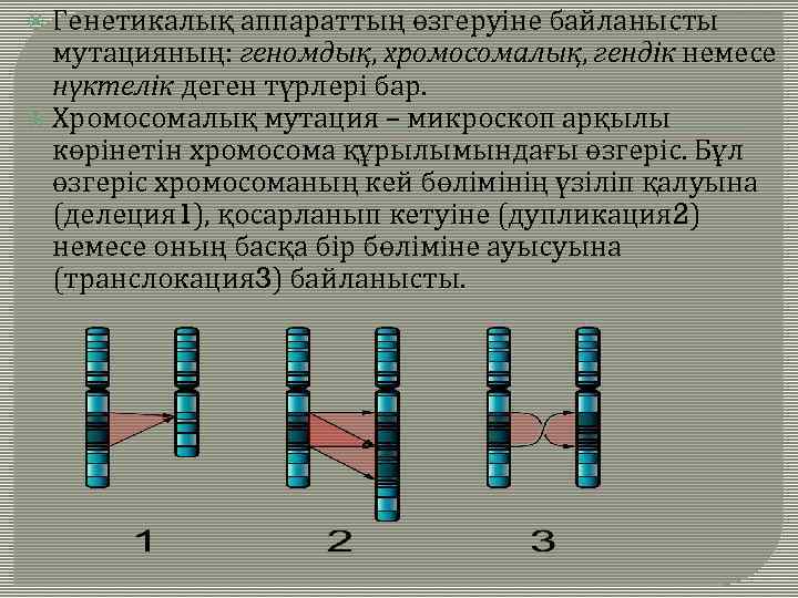  Генетикалық аппараттың өзгеруіне байланысты мутацияның: геномдық, хромосомалық, гендік немесе нүктелік деген түрлері бар.