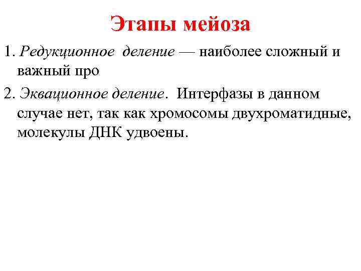 Этапы мейоза 1. Редукционное деление — наиболее сложный и важный про 2. Эквационное деление.