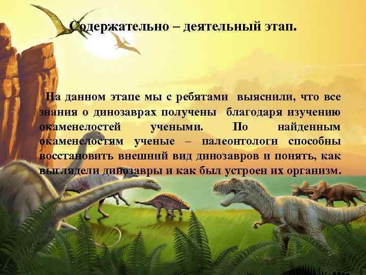 Содержательно – деятельный этап. На данном этапе мы с ребятами выяснили, что все знания