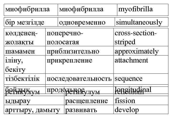 миофибрилла бір мезгілде одновременно көлденең- поперечножолақты полосатая шамамен приблизительно іліну, прикрепление бекіту тізбектілік последовательность