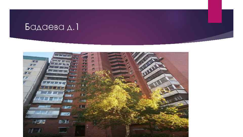 Бадаева д. 1 