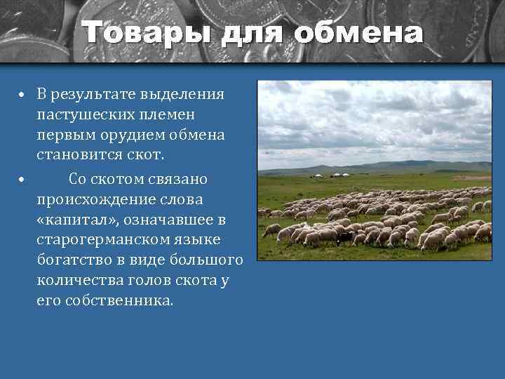 Товары для обмена • В результате выделения пастушеских племен первым орудием обмена становится скот.