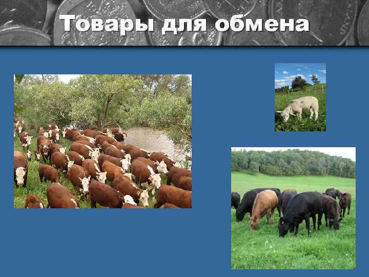 Товары для обмена 