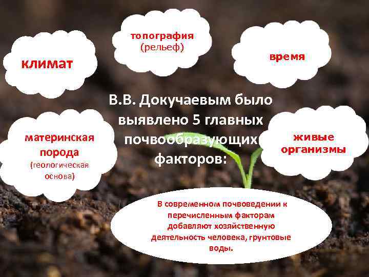 топография (рельеф) климат материнская порода (геологическая основа) время В. В. Докучаевым было выявлено 5