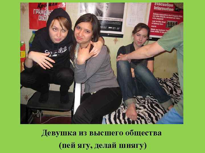 Девушка из высшего общества (пей ягу, делай шнягу) 