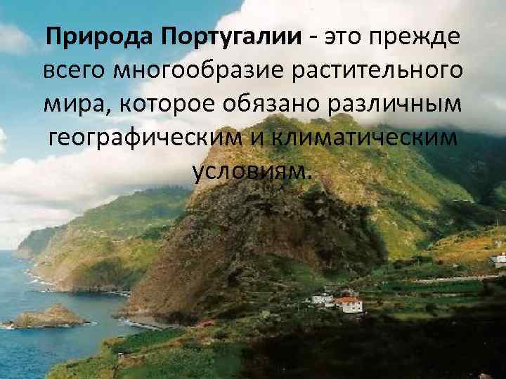 Природа Португалии - это прежде всего многообразие растительного мира, которое обязано различным географическим и