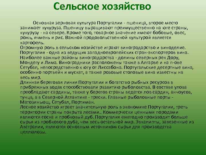 Сельское хозяйство Основная зерновая культура Португалии - пшеница, второе место занимает кукуруза. Пшеницу выращивают