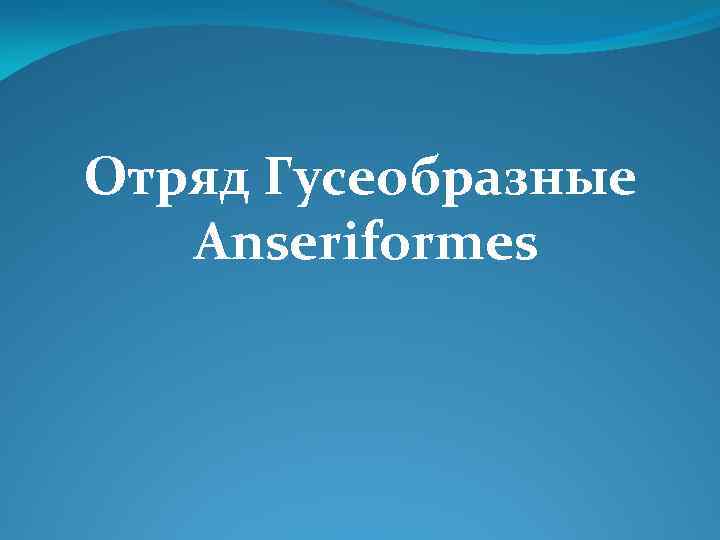 Отряд Гусеобразные Anseriformes 