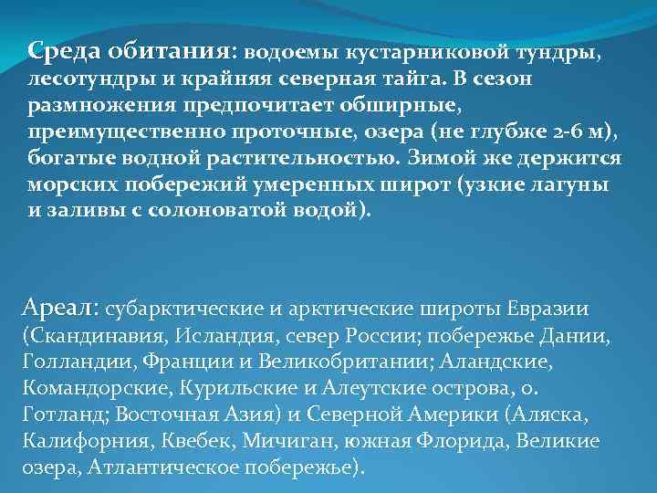 Среда обитания: водоемы кустарниковой тундры, лесотундры и крайняя северная тайга. В сезон размножения предпочитает