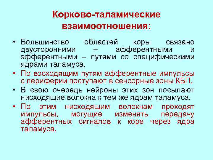 Корково-таламические взаимоотношения: • Большинство областей коры связано двусторонними – афферентными и эфферентными – путями