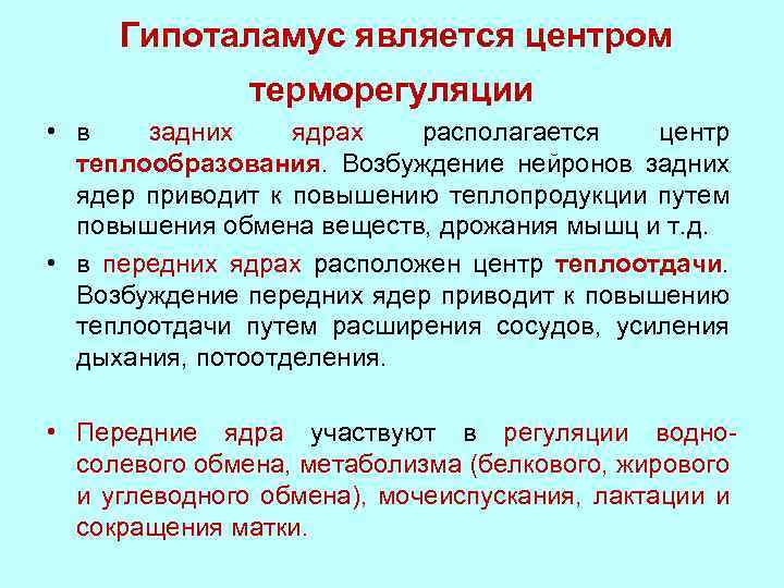 Гипоталамус является центром терморегуляции • в задних ядрах располагается центр теплообразования. Возбуждение нейронов задних