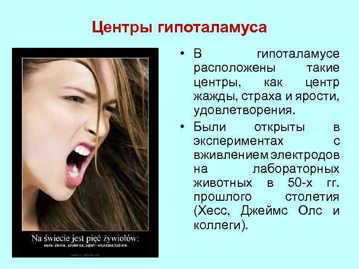 Центры гипоталамуса • В гипоталамусе расположены такие центры, как центр жажды, страха и ярости,