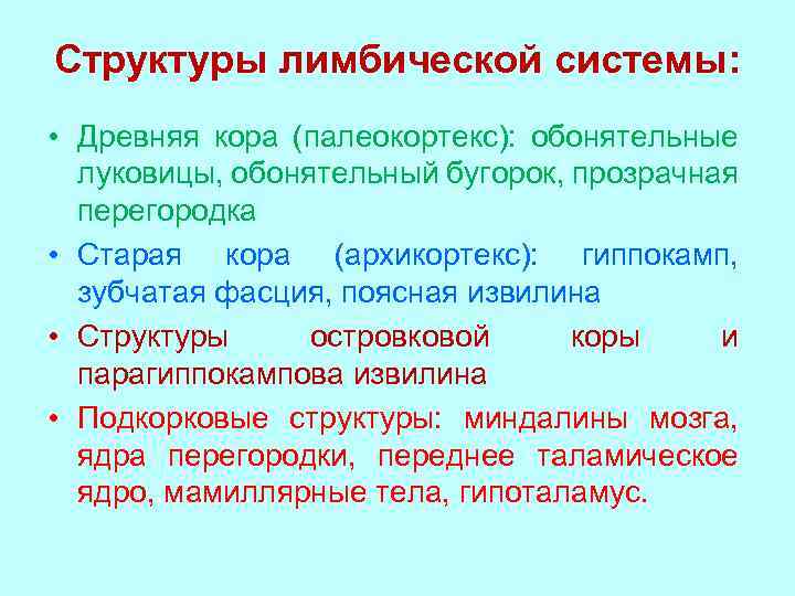 Структуры лимбической системы: • Древняя кора (палеокортекс): обонятельные луковицы, обонятельный бугорок, прозрачная перегородка •