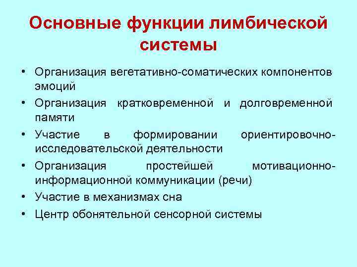 Основные функции лимбической системы • Организация вегетативно-соматических компонентов эмоций • Организация кратковременной и долговременной